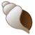 Shell Builder Snailor